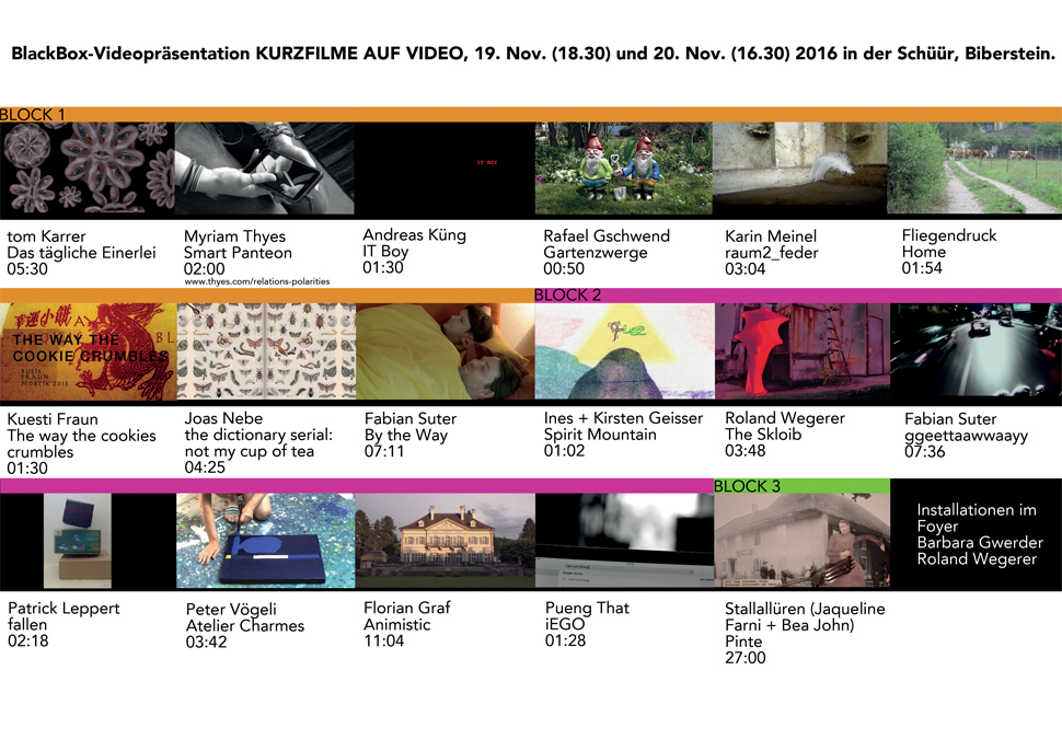 flyer kurzfilme auf video november 2016